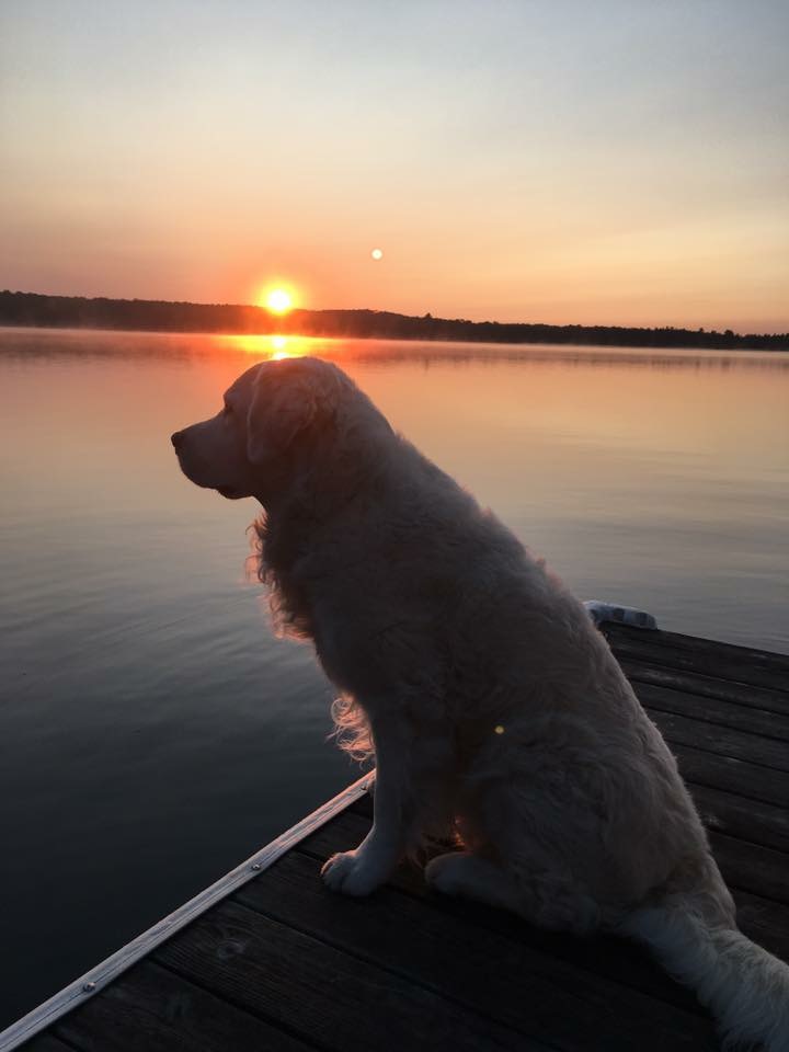 Trouble with sun rising over his head on dock